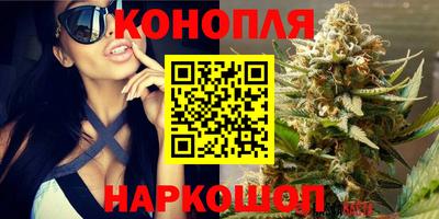 гидра Шелехов