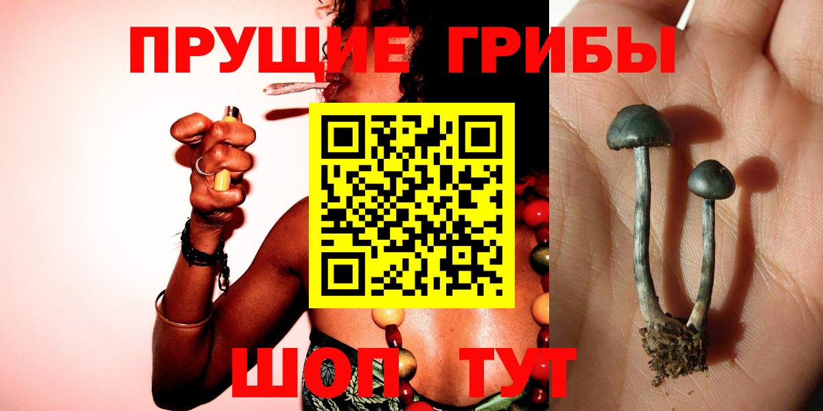 Галлюциногенные грибы MAGIC MUSHROOMS  Галлюциногенные грибы мухоморы  Мытищи  Вход с VPN 