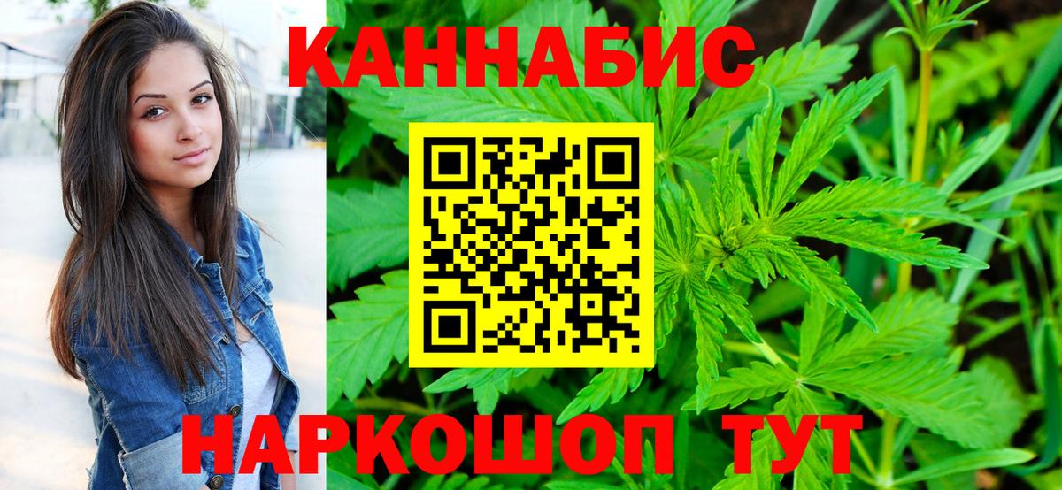 Каннабис планчик Мытищи